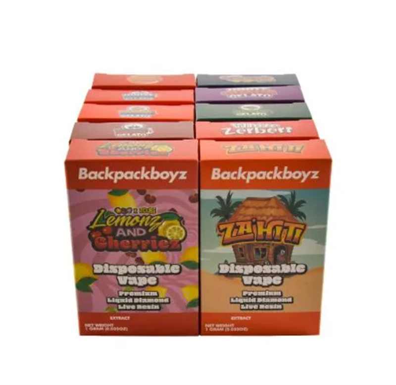 Backpack boyz 2g disposable empty vape device - E-cigarette bulk buying ...